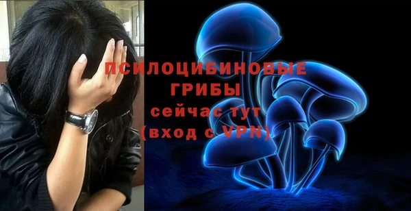 ешки Краснослободск
