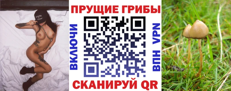 MEGA зеркало  Красноярск  Галлюциногенные грибы прущие грибы 