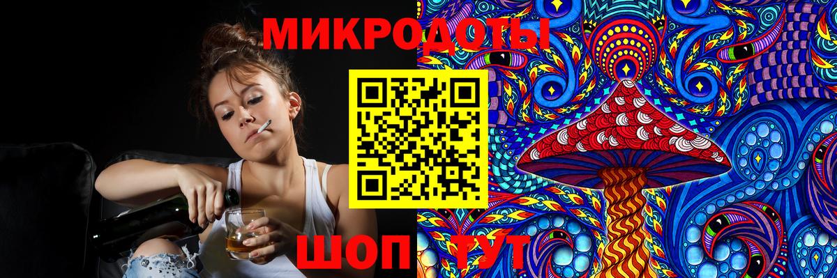 Псилоцибиновые грибы Psilocybine cubensis  Красноярск 